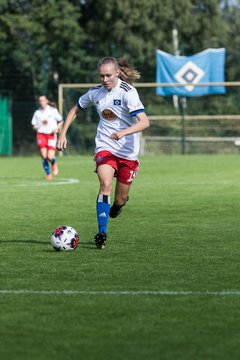 Bild 323 - wBJ Hamburger SV - Holstein Kiel : Ergebnis: 2:0